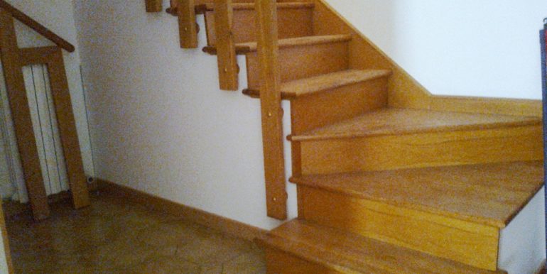 Foto10067
