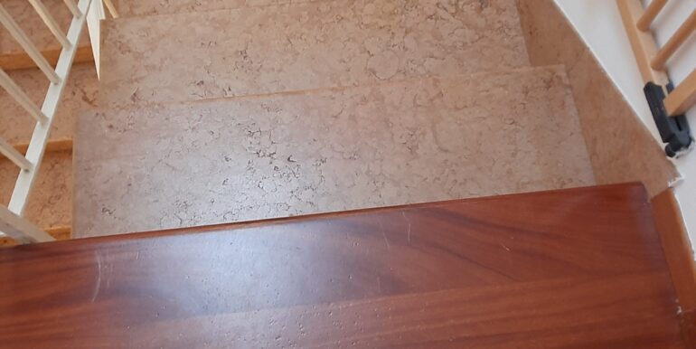 20240514_104123_resized