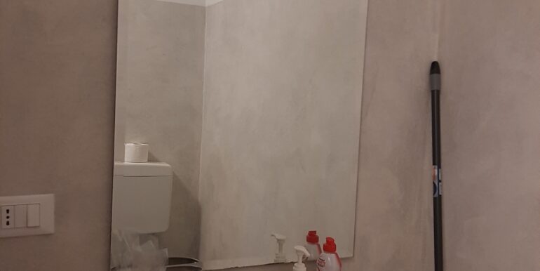 20250325_123945_resized