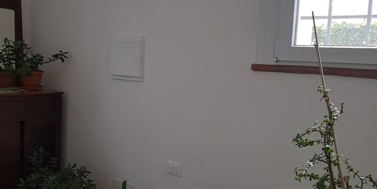 20250321_153501_resized